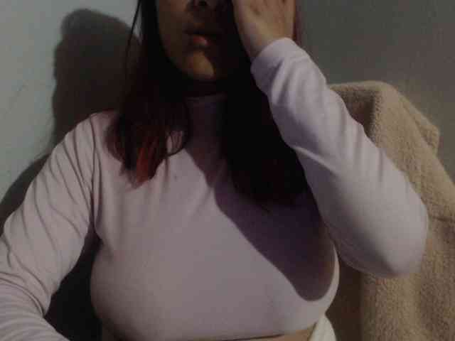 Sofiabrunni webcam