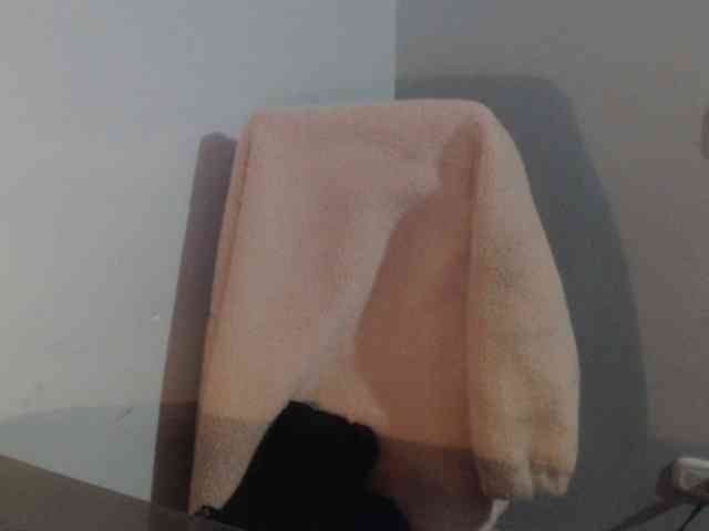 Sofiabrunni webcam