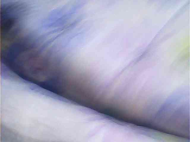 MIRANDAW webcam