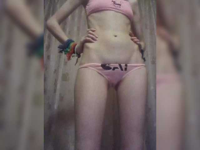 Preview of abogsldndalshekm