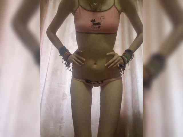 Abogsldndalshekm webcam