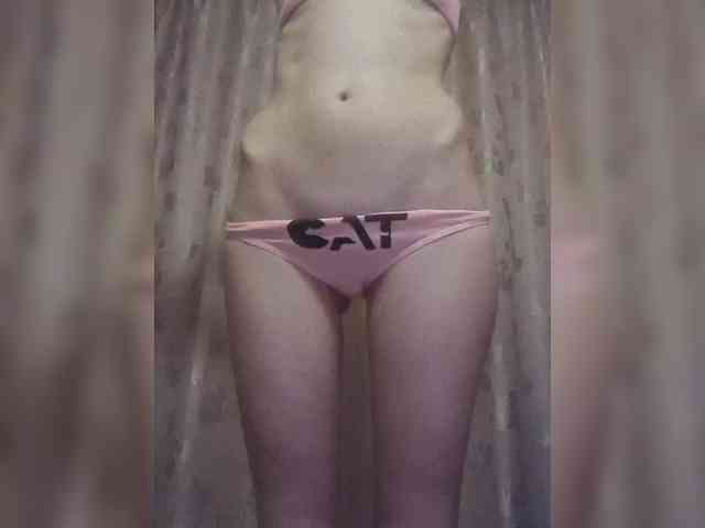 Abogsldndalshekm webcam