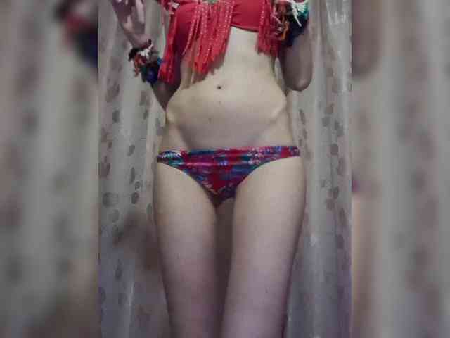 Abogsldndalshekm webcam