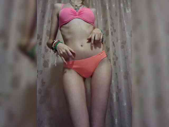 Abogsldndalshekm webcam