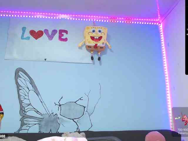 Annyee webcam