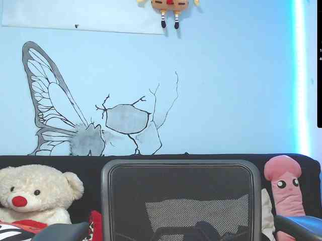 Annyee webcam