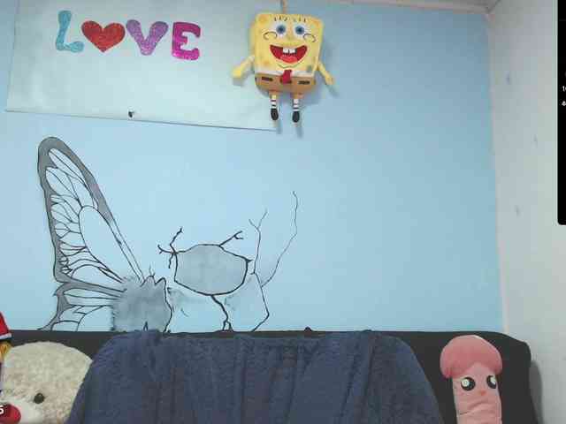 Annyee webcam