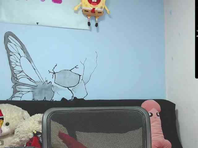 Annyee webcam