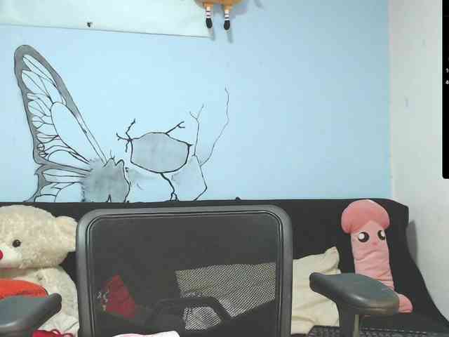 Annyee webcam