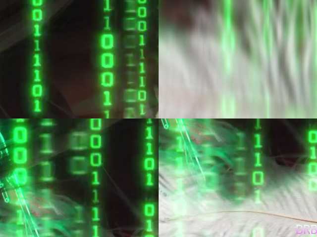 blondinochkaa's BongaCams show and profile