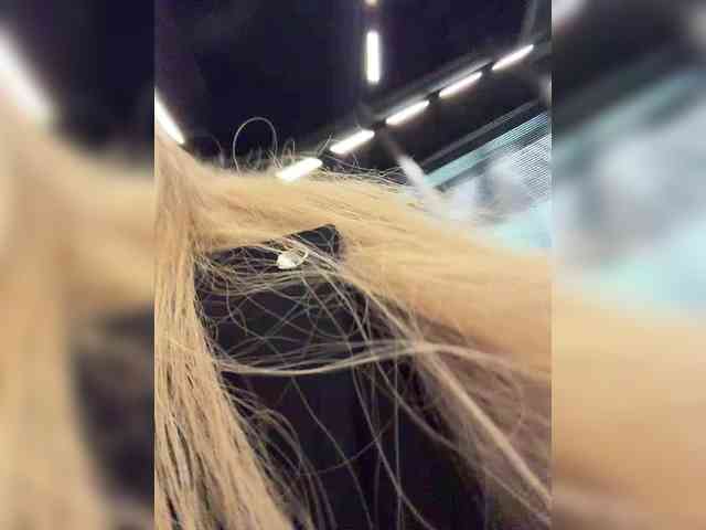 ALVUWKA webcam