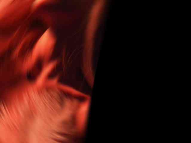 blondinochkaa blondinochkaa