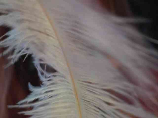 blondinochkaa Live Webcam on BongaCams