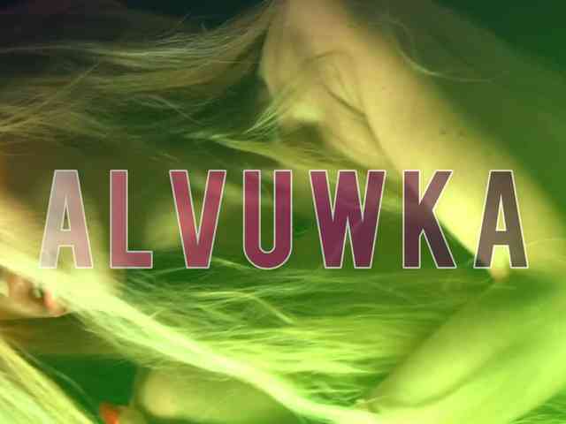 ALVUWKA webcam