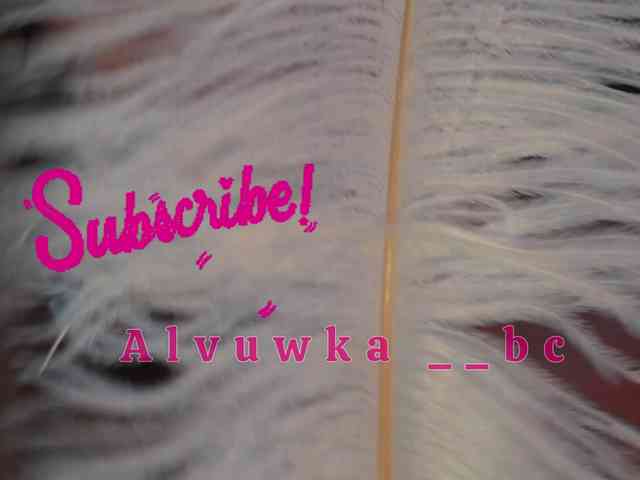 ALVUWKA webcam