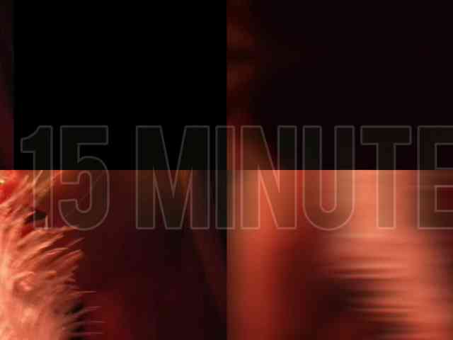 blondinochkaa blondinochkaa