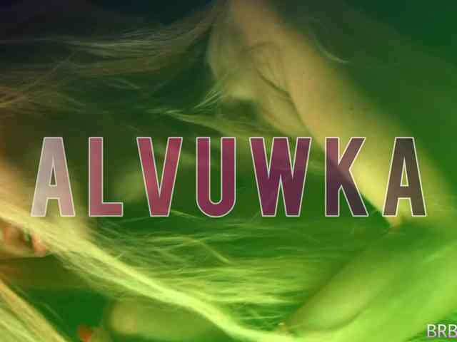 ALVUWKA webcam