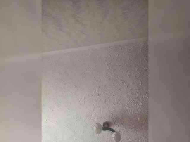 Anasstasiz webcam