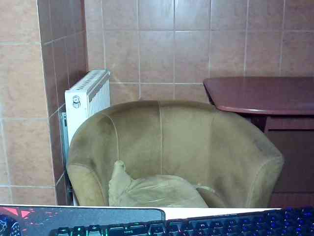 MoniqQuuen webcam