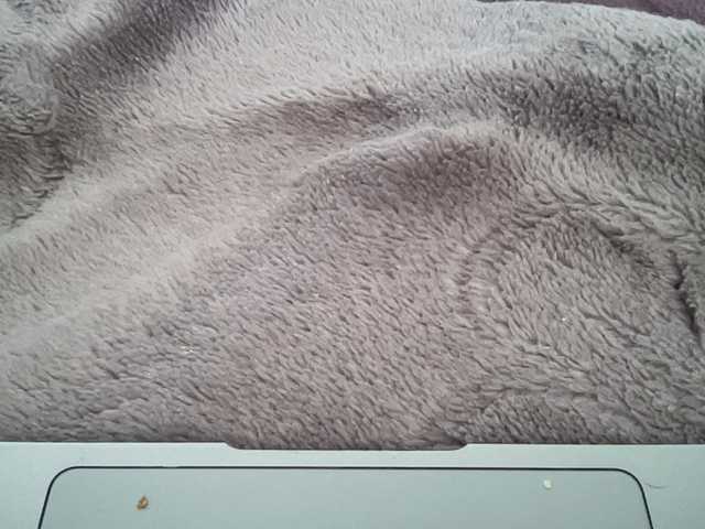 Natalii87's BongaCams show and profile