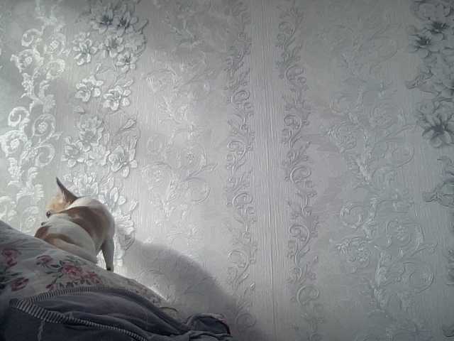 Natalii87's BongaCams show and profile