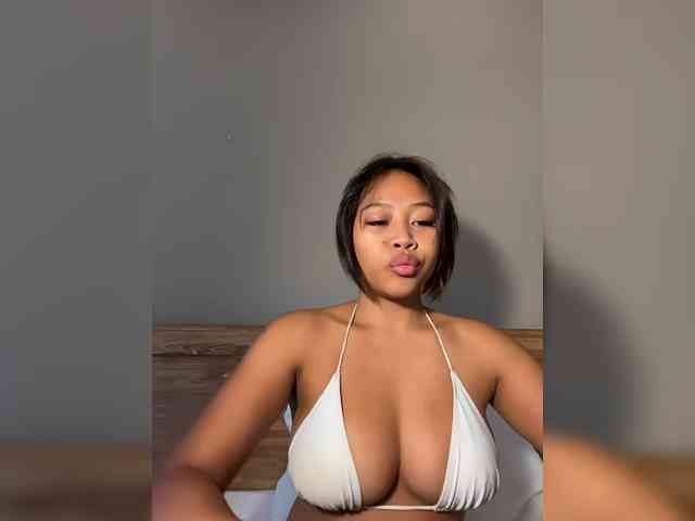 amapolaisland webcam