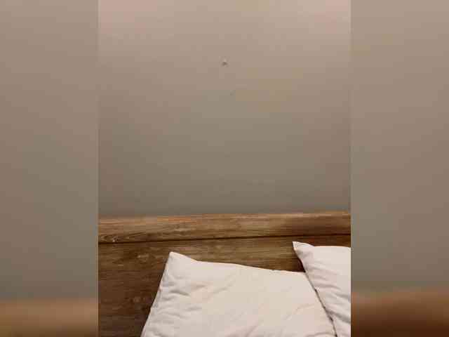 amapolaisland webcam