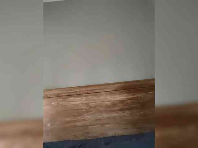 amapolaisland webcam