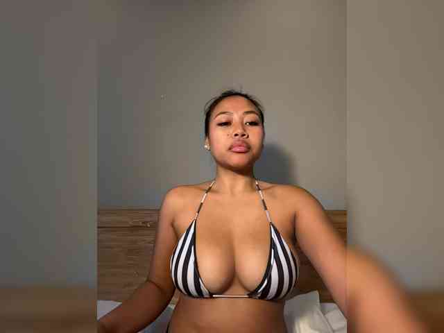 amapolaisland webcam