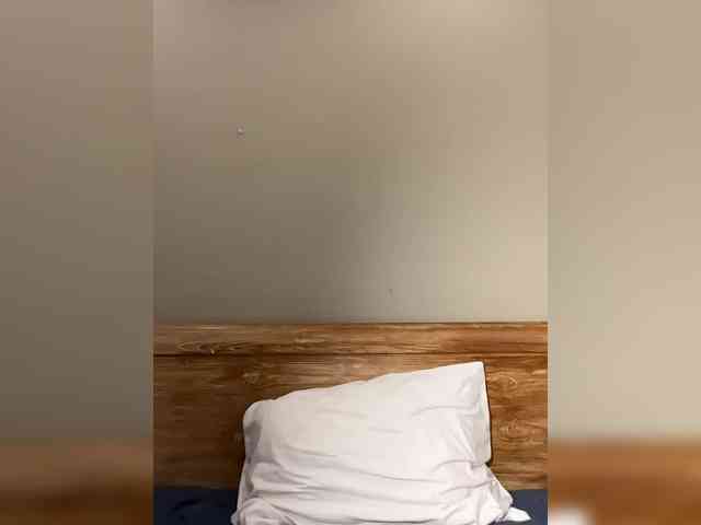 amapolaisland webcam