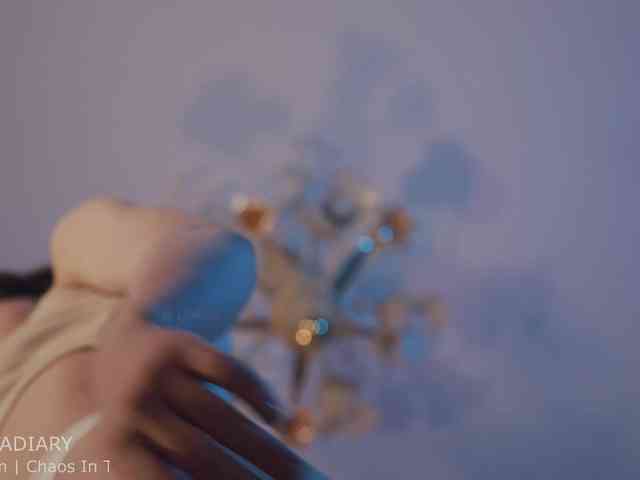 -ARTA- webcam