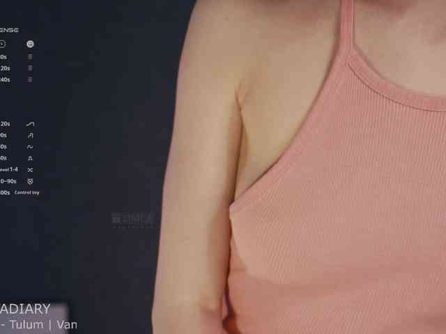 -ARTA- webcam