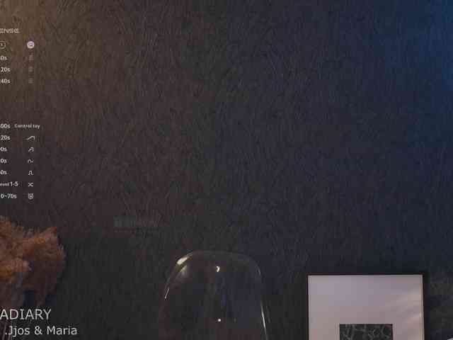 -ARTA- webcam
