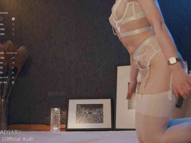 -ARTA- webcam