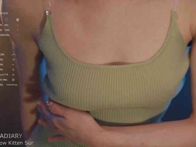 -ARTA- webcam