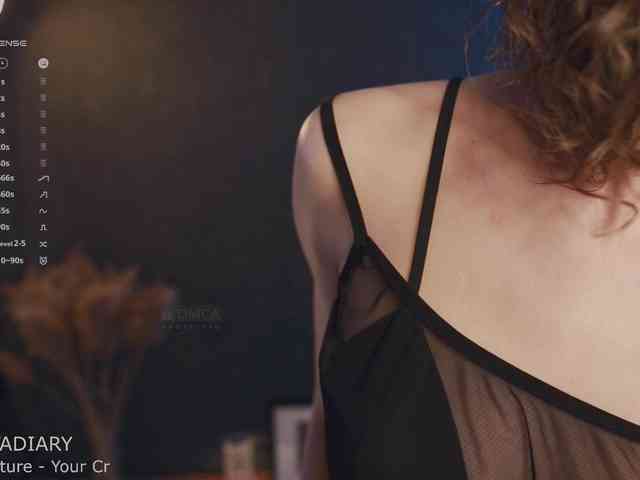 -ARTA- webcam