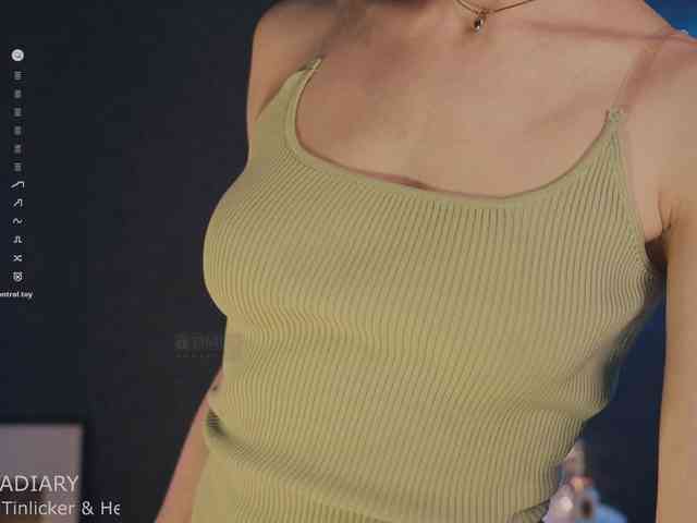 -ARTA- webcam