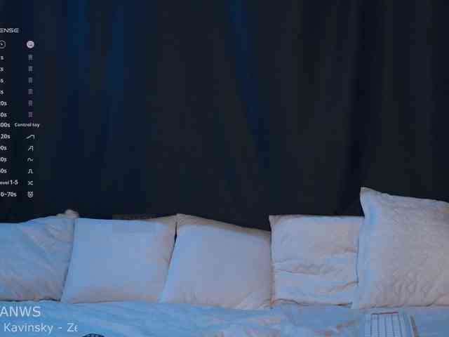 -ARTA- webcam