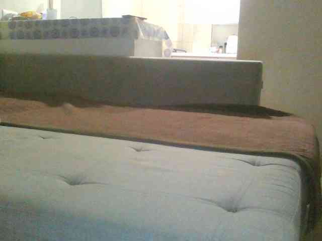 Arlisaac webcam