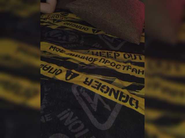 Plohishi2's BongaCams show and profile