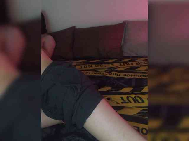 streaming webcam Plohishi2