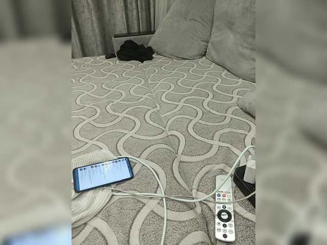 Arti1204