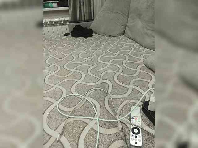 Arti1204