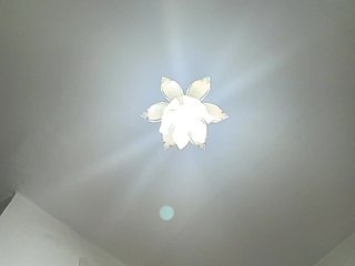 NeZabudka- Porn Show