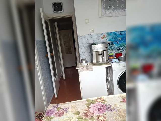 NeZabudka-