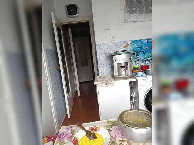 NeZabudka- webcam