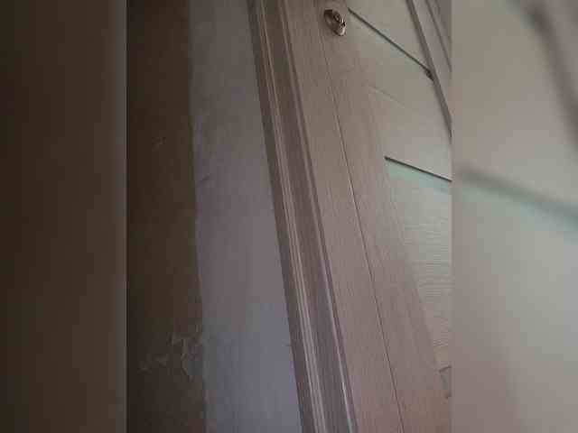 NeZabudka- webcam