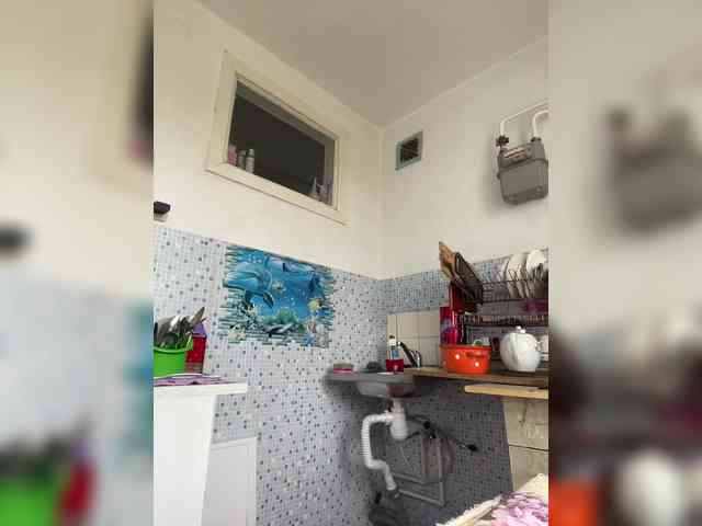 NeZabudka- webcam
