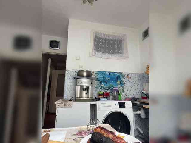 NeZabudka- webcam
