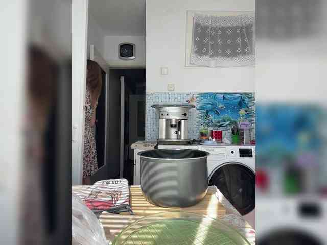 NeZabudka- webcam